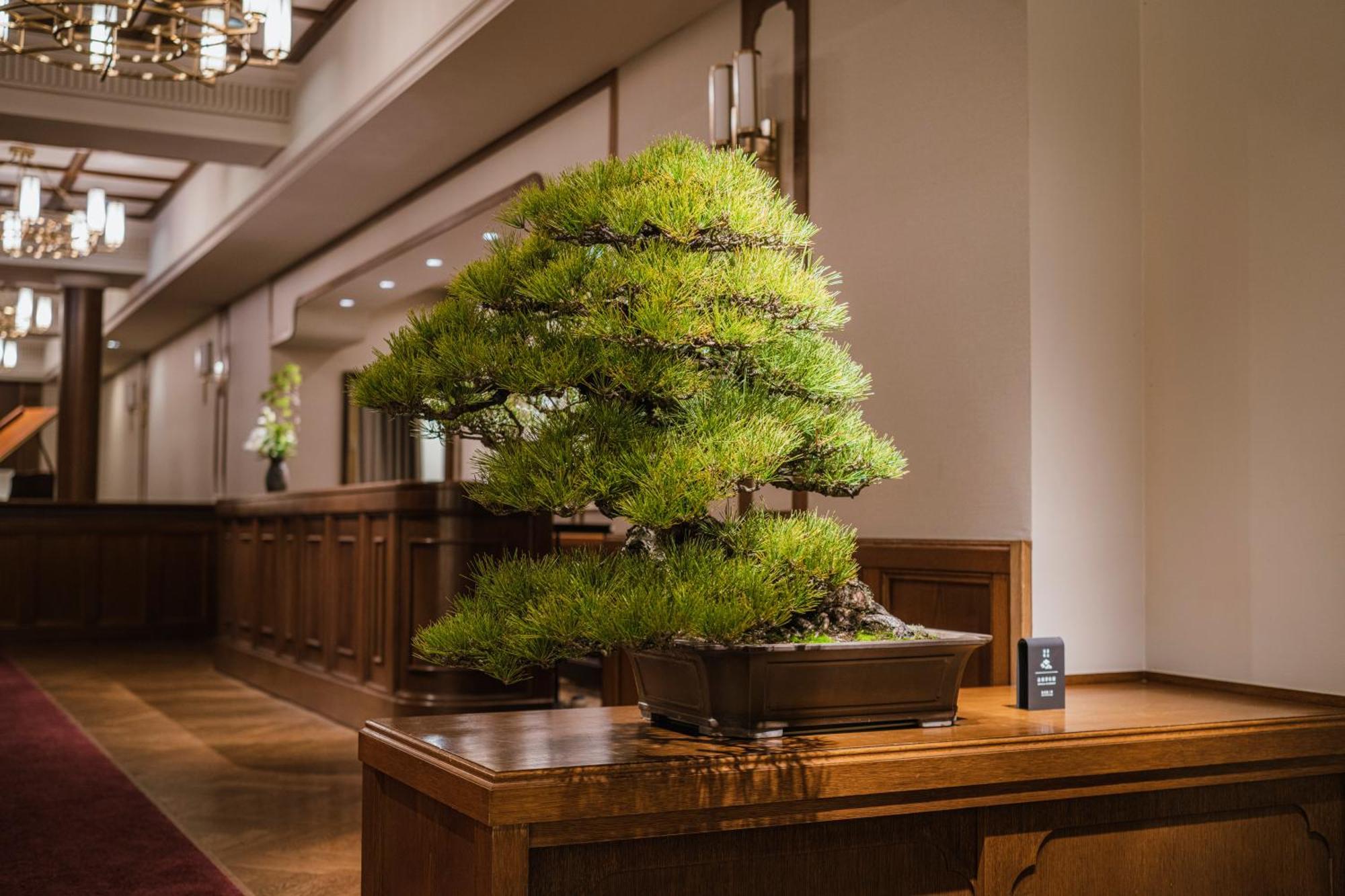 Shinzan Kinosaki Hotel Tojooka Kültér fotó