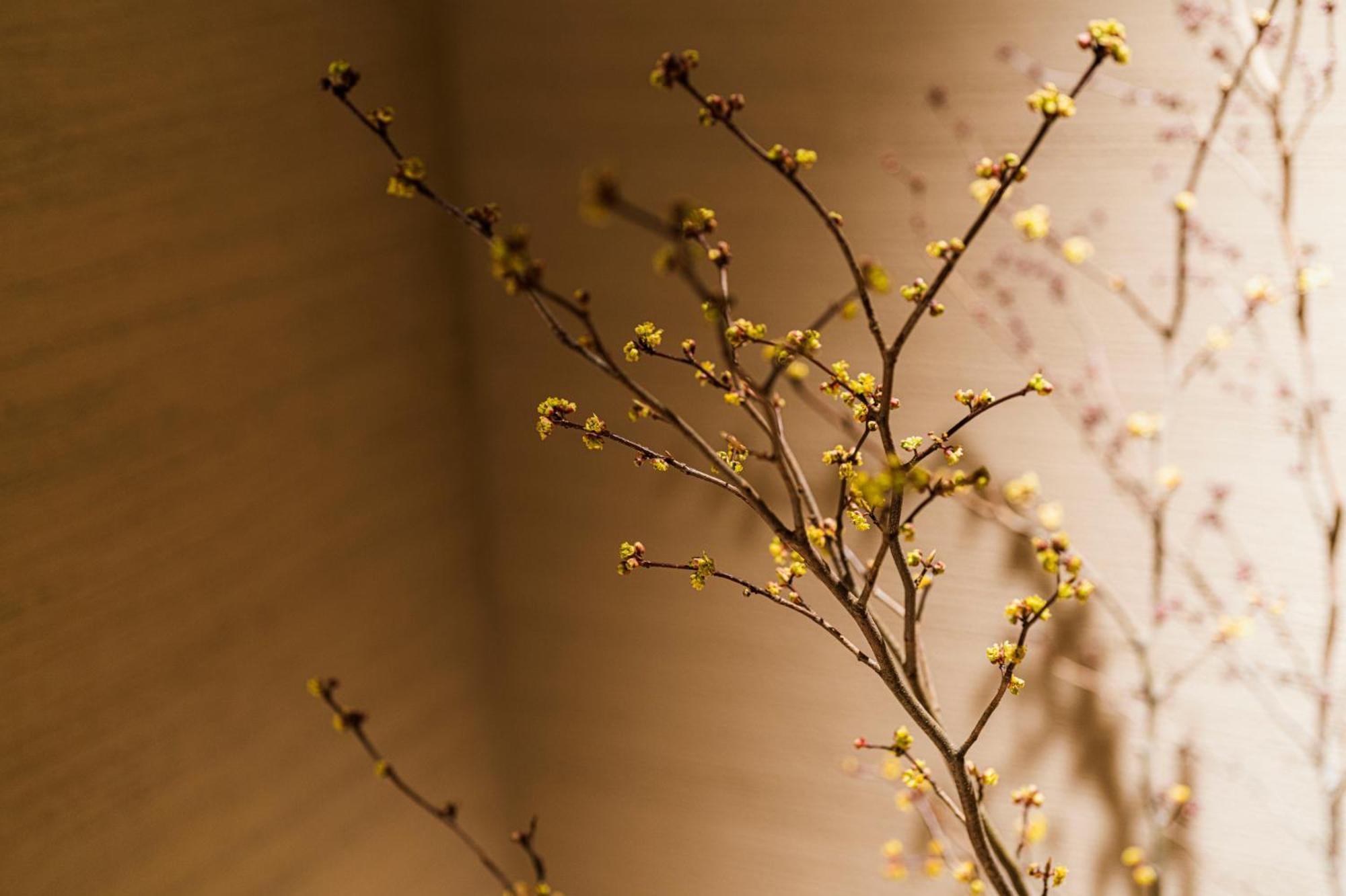 Shinzan Kinosaki Hotel Tojooka Kültér fotó